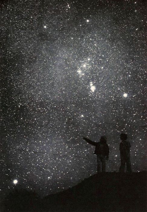 childrenLookingAtNightSky