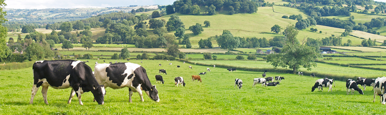 international_dairy_week_banner